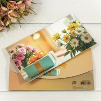 Конверт подарочный 16,5*9см 420 1/10 1/250 Арт: 003004/420