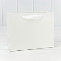 Пакет подарочный Белый 23*18*10 230г 1/20 1/160 Арт: 000200EA