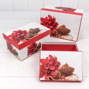 Коробки Прямоугольные Набор 1/3 22*15*11,5 "Шишки" 1/36 Арт: 7303367/0480