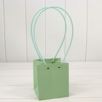 Пакет подарочный "Ваза для цветов" 13*11,5*11,5 Бледно-зелёный 1/10 1/150 Арт: 000170F/559