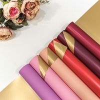 Плёнка 1611 0,58*10 м